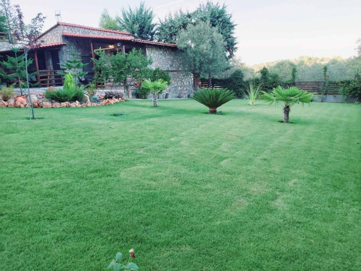 Dimitris Villas - Villa 4 奥马斯帕纳吉亚斯 外观 照片