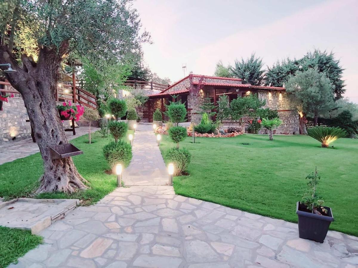 Dimitris Villas - Villa 4 奥马斯帕纳吉亚斯 外观 照片