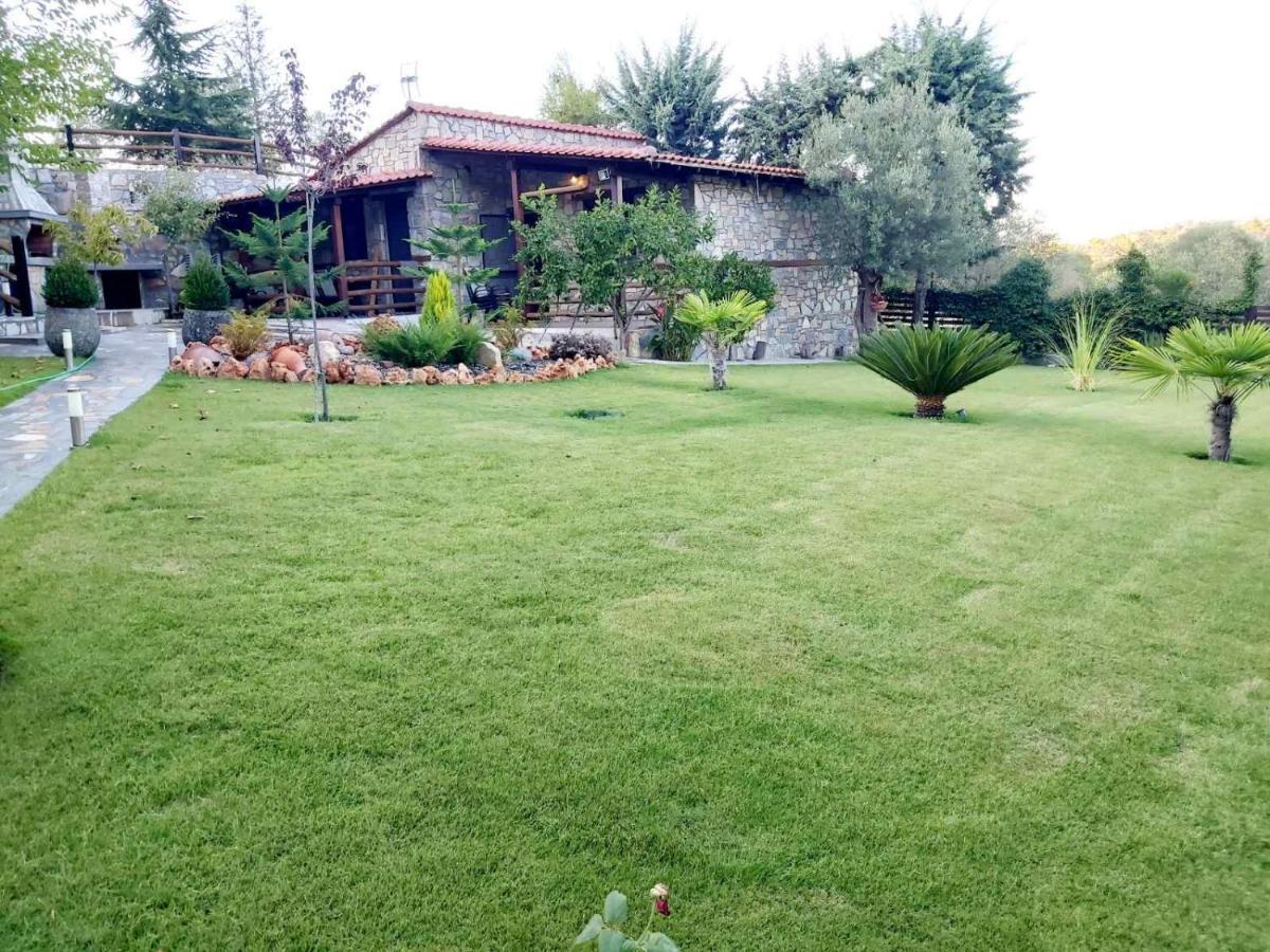 Dimitris Villas - Villa 4 奥马斯帕纳吉亚斯 外观 照片